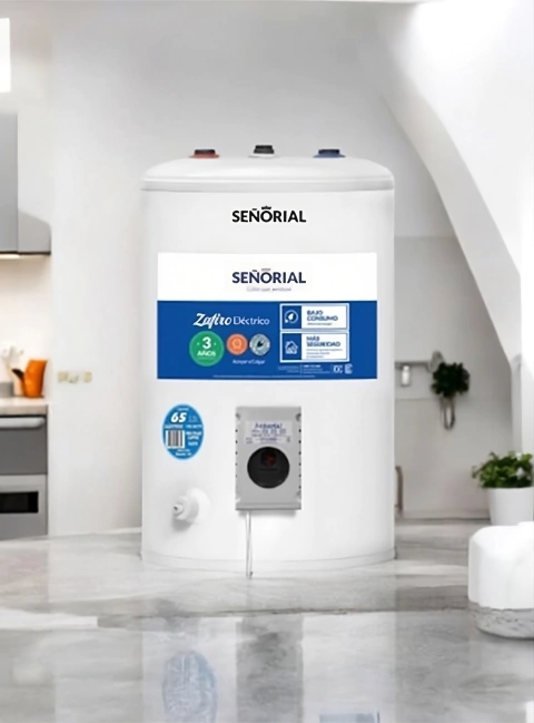 Termo eléctrico Señorial